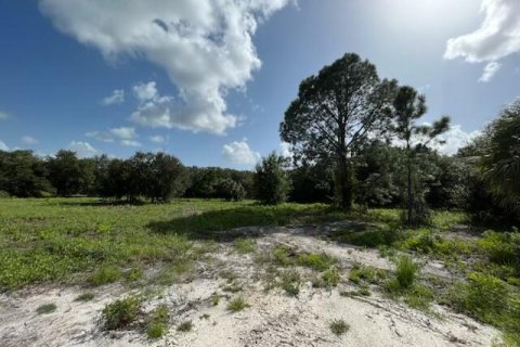 Land in Okeechobee, Florida № 748320 - photo 1