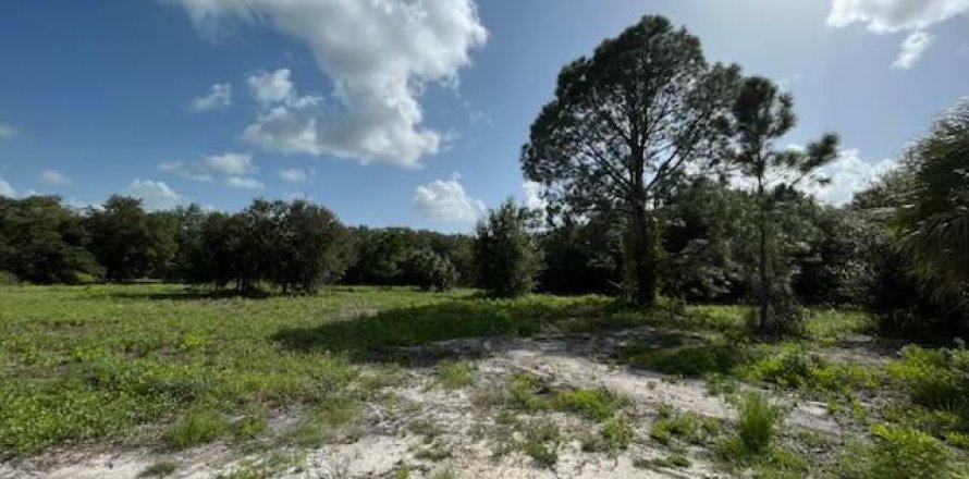 Land in Okeechobee, Florida № 748320