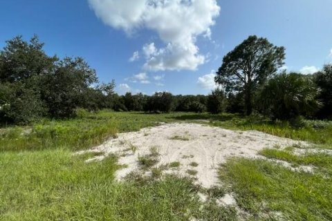 Land in Okeechobee, Florida № 748320 - photo 12