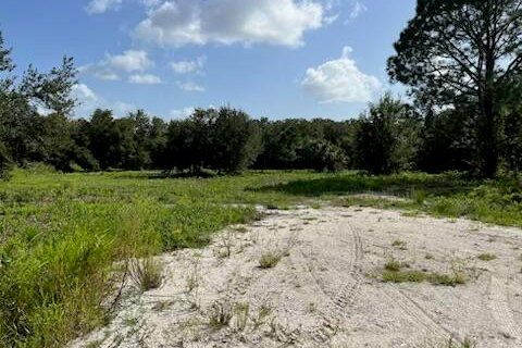 Land in Okeechobee, Florida № 748320 - photo 13