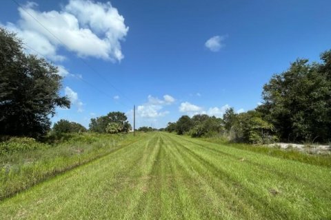 Terreno en venta en Okeechobee, Florida № 748320 - foto 3