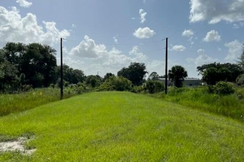 Land in Okeechobee, Florida № 748320 - photo 10