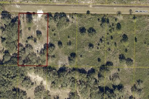 Terreno en venta en Okeechobee, Florida № 748320 - foto 4