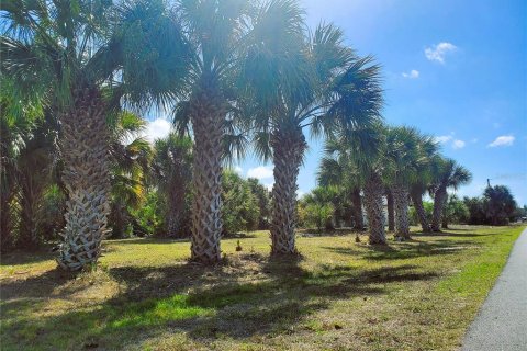 Купить земельный участок в Порт-Шарлотт, Флорида № 238483 - фото 1