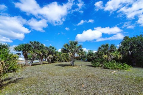 Купить земельный участок в Порт-Шарлотт, Флорида № 238483 - фото 15
