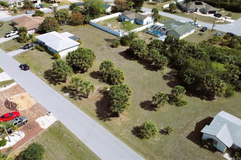 Купить земельный участок в Порт-Шарлотт, Флорида № 238483 - фото 13
