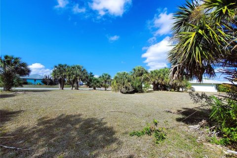 Land in Port Charlotte, Florida № 238483 - photo 21