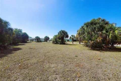 Terreno en venta en Port Charlotte, Florida № 238483 - foto 23