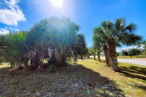 Купить земельный участок в Порт-Шарлотт, Флорида № 238483 - фото 30
