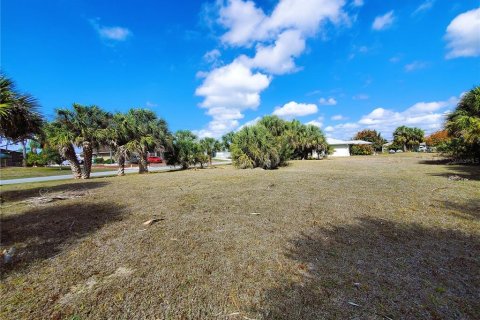 Купить земельный участок в Порт-Шарлотт, Флорида № 238483 - фото 20