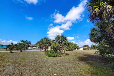Купить земельный участок в Порт-Шарлотт, Флорида № 238483 - фото 18