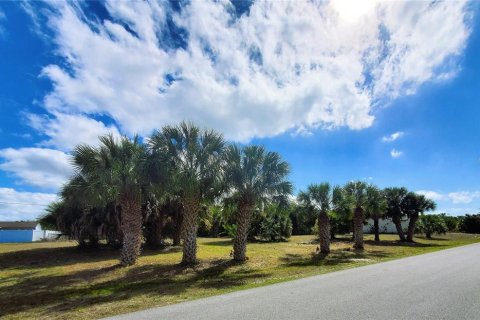 Купить земельный участок в Порт-Шарлотт, Флорида № 238483 - фото 3