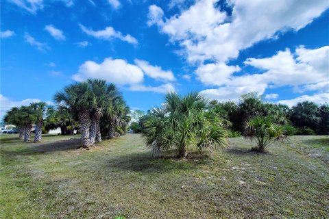 Купить земельный участок в Порт-Шарлотт, Флорида № 238483 - фото 14