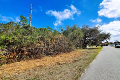 Terreno en venta en Port Charlotte, Florida № 238484 - foto 9