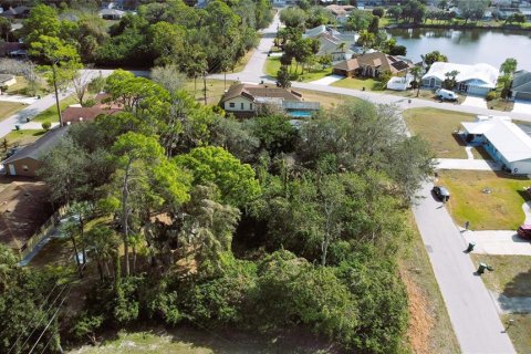 Купить земельный участок в Порт-Шарлотт, Флорида № 238484 - фото 17