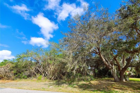 Купить земельный участок в Порт-Шарлотт, Флорида № 238484 - фото 5