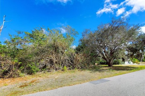 Terreno en venta en Port Charlotte, Florida № 238484 - foto 11