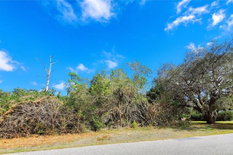 Land in Port Charlotte, Florida № 238484 - photo 12