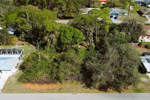Купить земельный участок в Порт-Шарлотт, Флорида № 238484 - фото 13