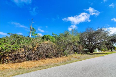 Купить земельный участок в Порт-Шарлотт, Флорида № 238484 - фото 6