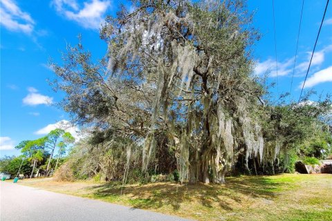 Land in Port Charlotte, Florida № 238484 - photo 3