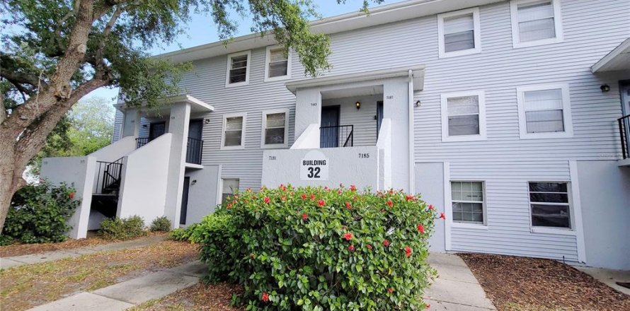 Condo in Tampa, Florida, 1 bedroom  № 1342946