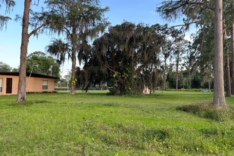 Villa ou maison à vendre à Orlando, Floride: 3 chambres, 133.78 m2 № 508047 - photo 12