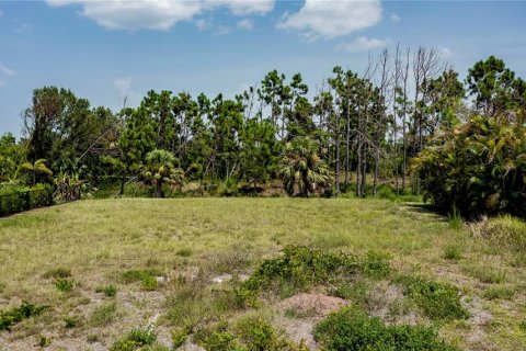 Terreno en venta en Rotonda, Florida № 1190758 - foto 4