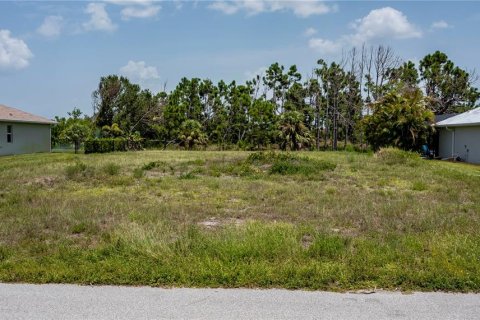 Terreno en venta en Rotonda, Florida № 1190758 - foto 1