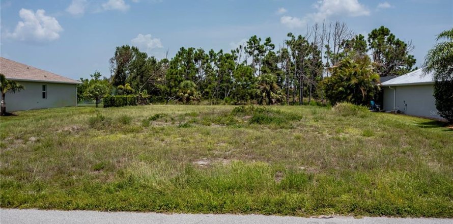 Terrain à Rotonda, Floride № 1190758