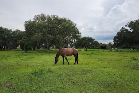 Terreno en venta en River Ranch, Florida № 1304361 - foto 15