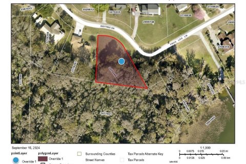 Terreno en venta en Leesburg, Florida № 1374015 - foto 9