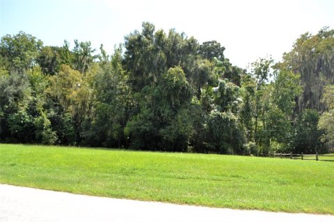 Land in Leesburg, Florida № 1374015 - photo 1