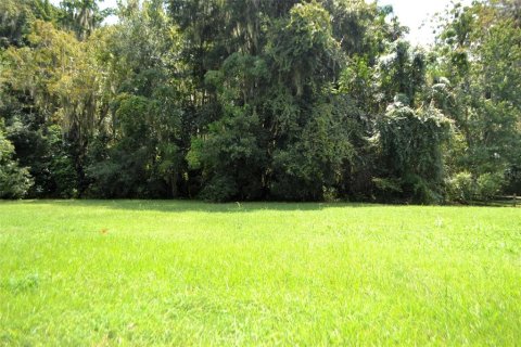 Terreno en venta en Leesburg, Florida № 1374015 - foto 2