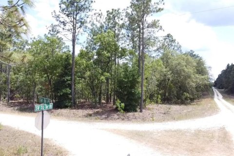 Terreno en venta en Ocala, Florida № 1163658 - foto 5