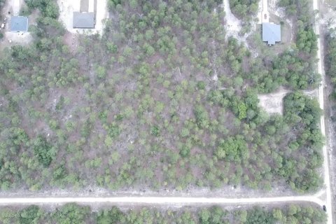 Land in Ocala, Florida № 1163658 - photo 3