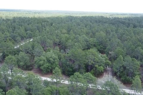 Terrain à vendre à Ocala, Floride № 1163658 - photo 4