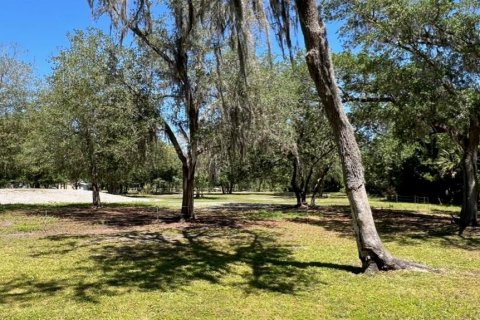 Terreno en venta en Geneva, Florida № 1299061 - foto 9