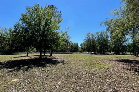 Terreno en venta en Geneva, Florida № 1299061 - foto 15