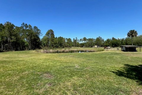 Terreno en venta en Geneva, Florida № 1299061 - foto 7