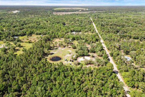 Terreno en venta en Geneva, Florida № 1299061 - foto 27