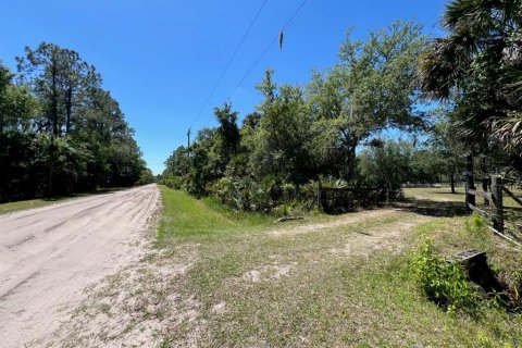 Terreno en venta en Geneva, Florida № 1299061 - foto 10