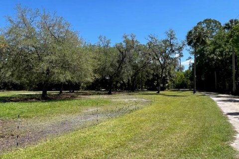 Terreno en venta en Geneva, Florida № 1299061 - foto 8