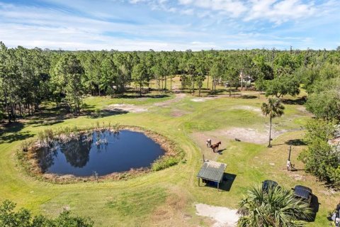 Terreno en venta en Geneva, Florida № 1299061 - foto 1