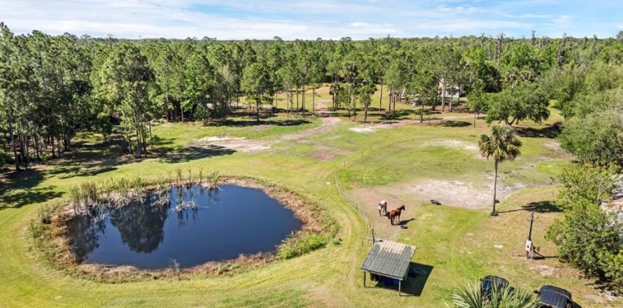 Terreno en Geneva, Florida № 1299061