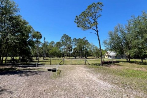 Terreno en venta en Geneva, Florida № 1299061 - foto 13