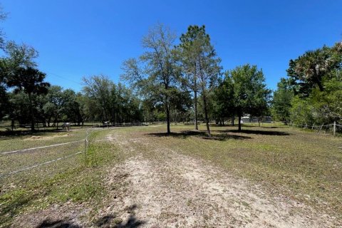 Land in Geneva, Florida № 1299061 - photo 11