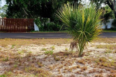 Land in Davenport, Florida № 1110288 - photo 4