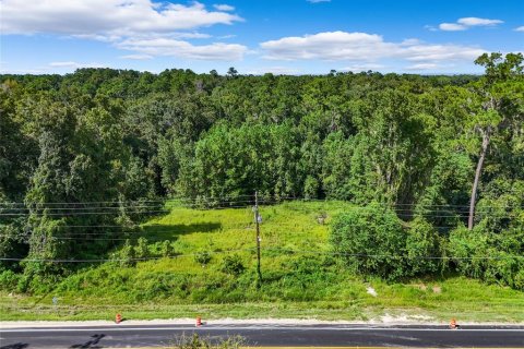 Terreno en venta en Gainesville, Florida № 1350051 - foto 4