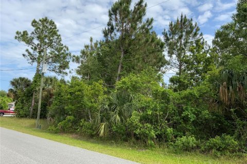Land in Palm Coast, Florida № 509211 - photo 1